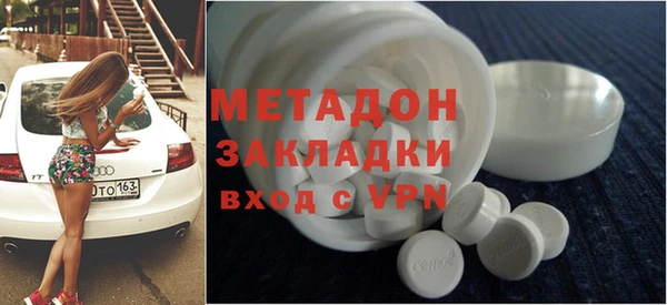 прущие грибы Алзамай