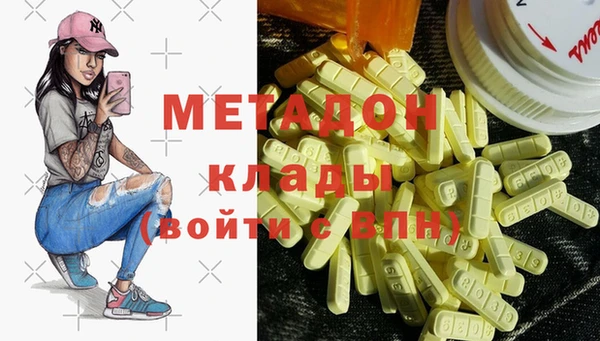 прущие грибы Алзамай
