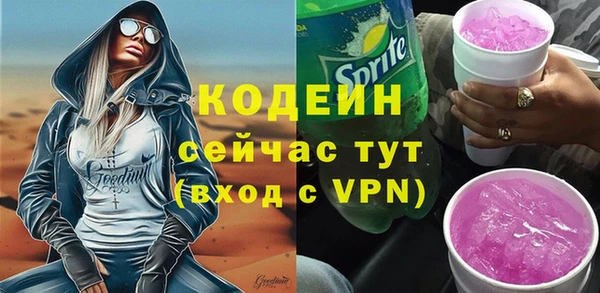 прущие грибы Алзамай