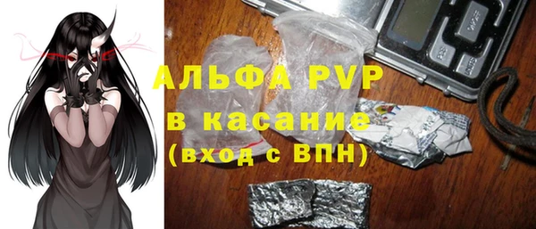 прущие грибы Алзамай