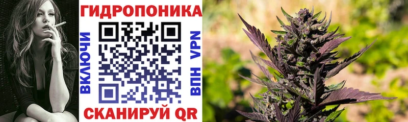 Конопля OG Kush  Оленегорск 